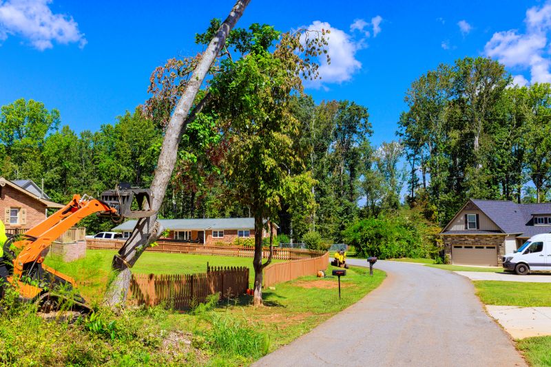 Increase Your Tree And Shrub Removal Business with an AI Driven, Targeted Website