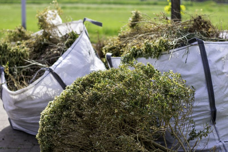 Tree and Shrub Removal