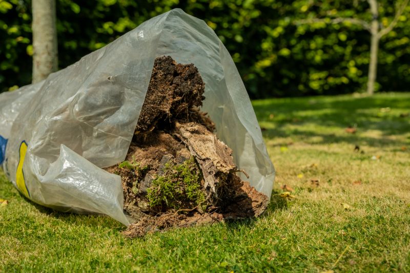 Tree and Shrub Removal