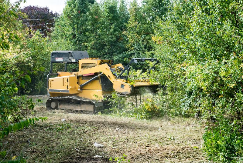 Pasture Clearing in Gwinnett County, GA