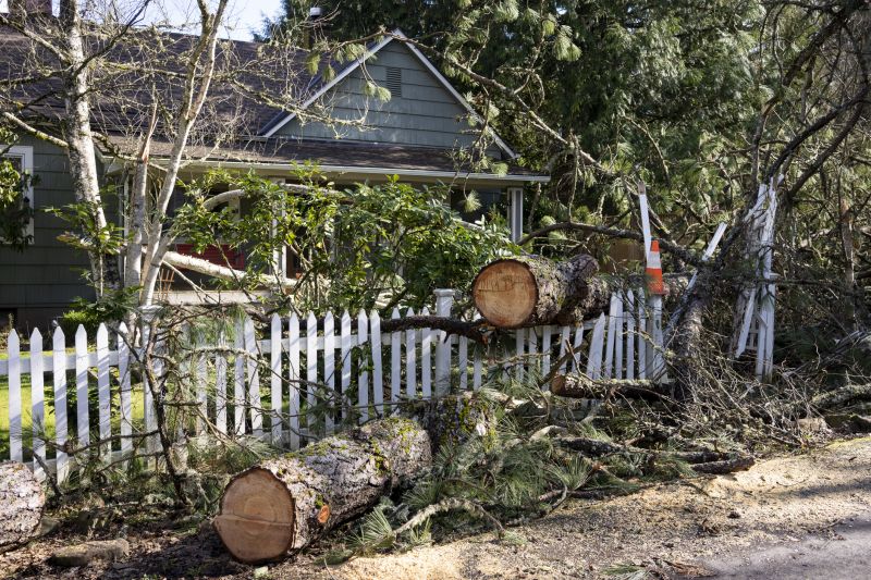 Tree and Shrub Removal Costs — Cost of Tree and Shrub Removal