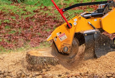 Stump Grinding and Site Restoration